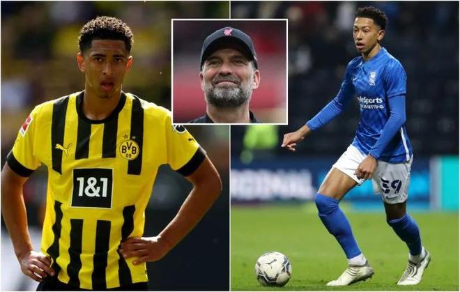 杨鸣：辽宁男篮进入新老更替时期，先打进季后赛再图发展